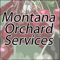 Flathead Lake Orchard Services