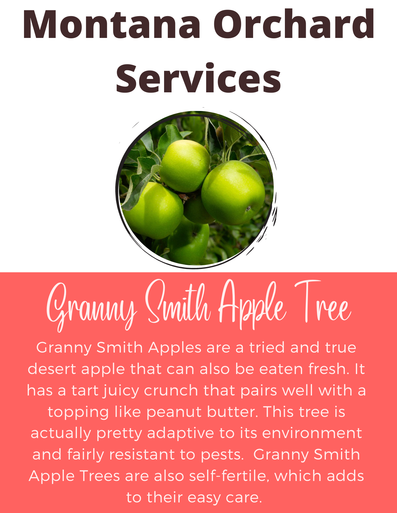 https://mtorchardservices.com/wp-content/uploads/2022/04/Granny-Smith-Card.png